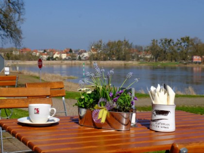 Фото: Elbterrasse Wörlitz